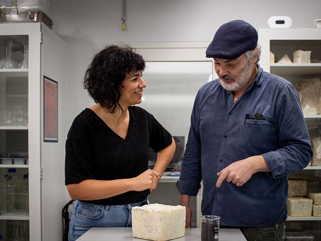 Det Kongelige Akademi